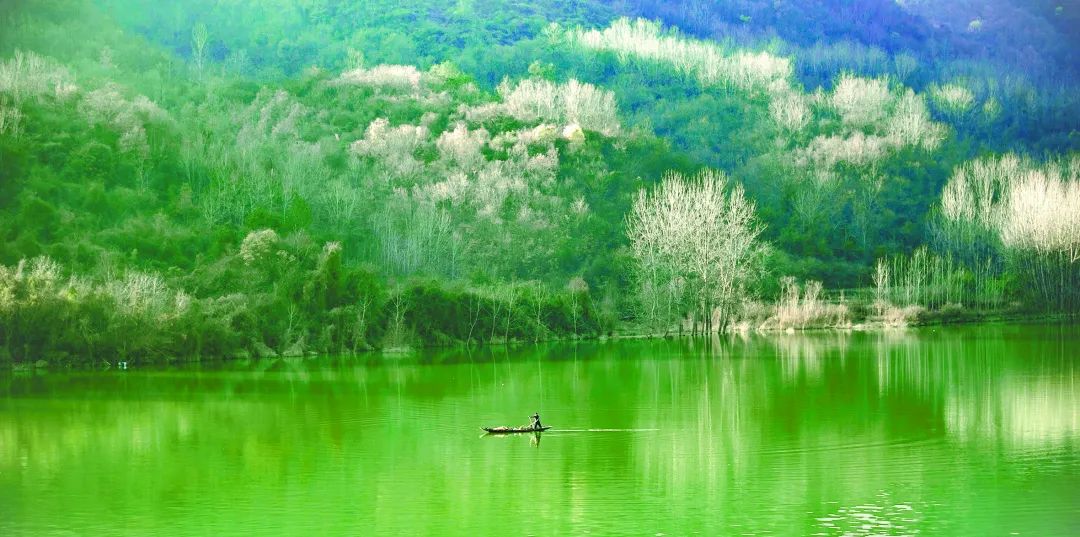 守护碧水清流 润泽三秦大地 ——陕西深入打好碧水保卫战纪实